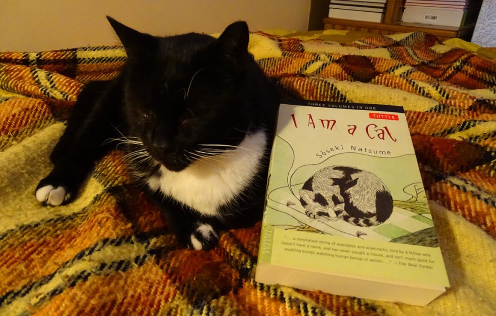 Είμαι Ένας Γάτος [I Am a Cat] του Νατσούμε Σοσέκι, πλάι στον Πιέρ - από το Φονικό Κουνέλι