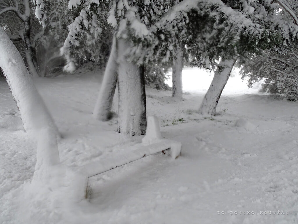 Χιονισμένο παγκάκι σε άλσος στα προάστια της Αθήνας, Φλεβάρης 21, από το Φονικό Κουνέλι