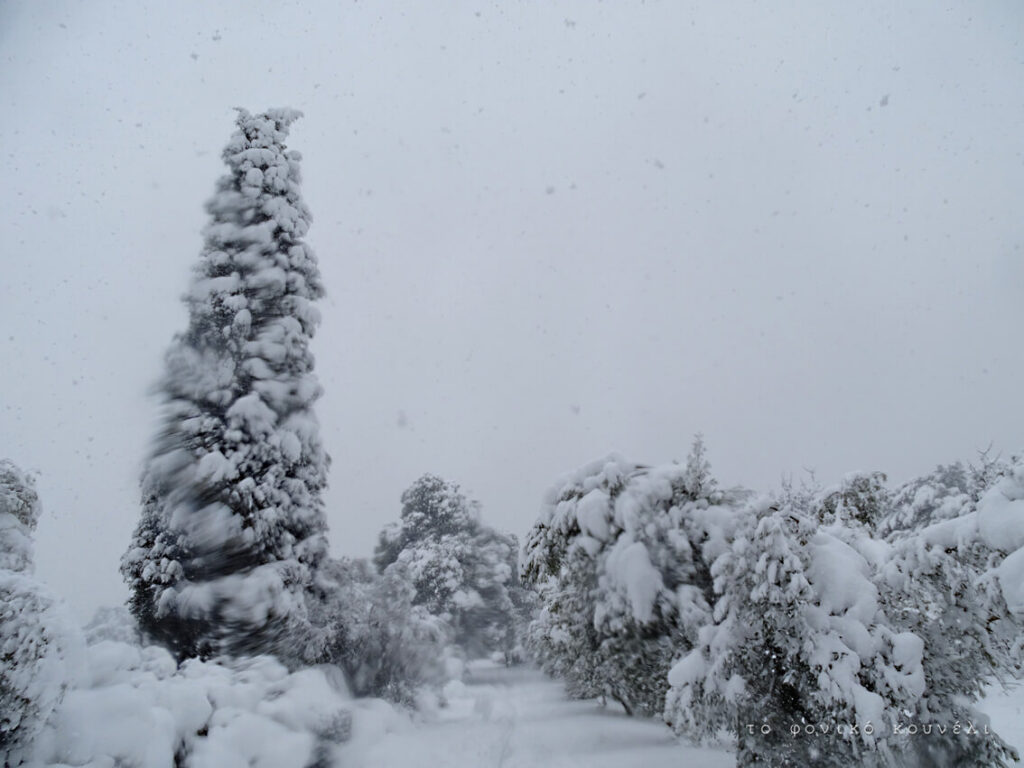 Χιόνια στα προάστια της Αθήνας, χιόνια και στο Μαγικό Βουνό. Από το Φονικό Κουνέλι