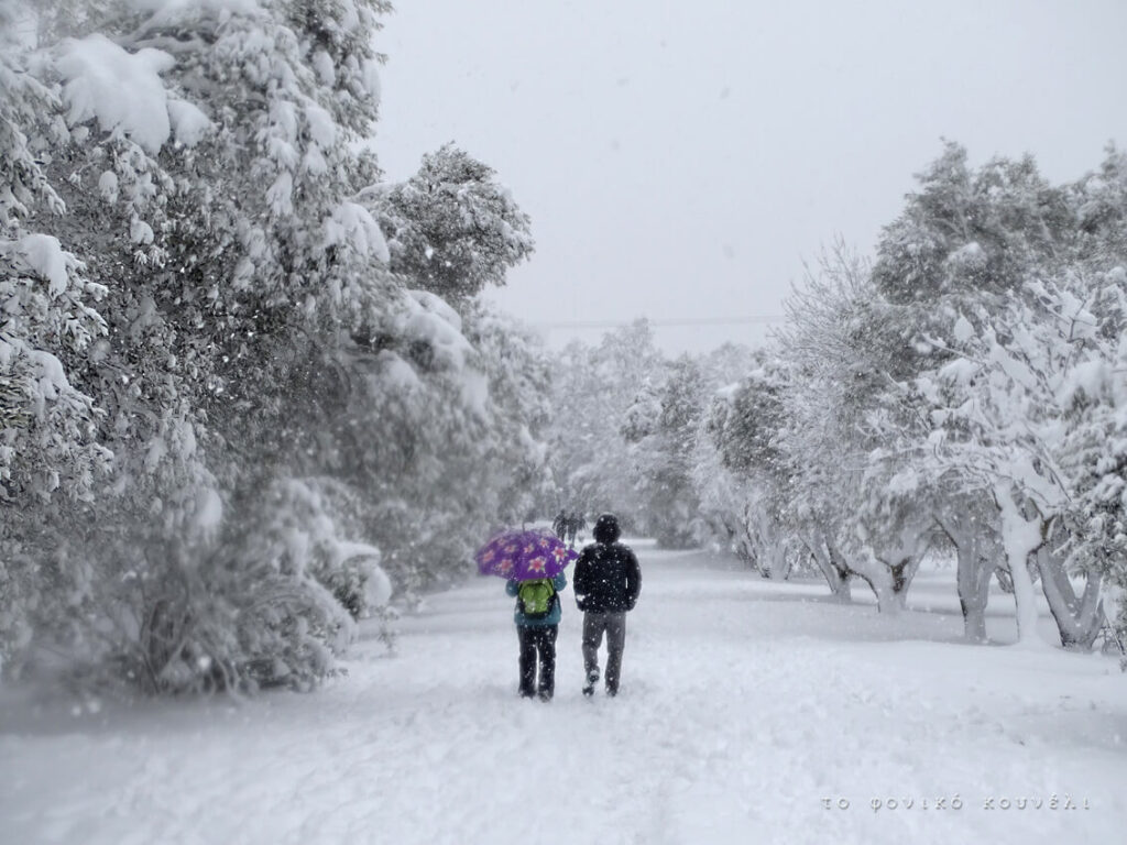 Χιόνια στην Αθήνα, Φλεβάρης 21. Από το Φονικό Κουνέλι. Μέρος μιας παρουσίασης για το Μαγικό Βουνό του Τόμας Μαν