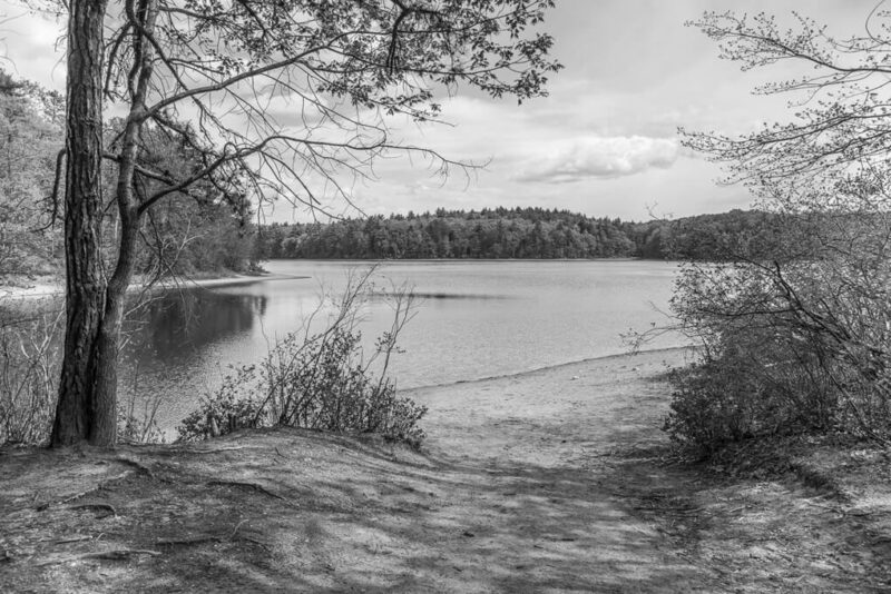Το δάσος και η λίμνη Ουόλντεν, όπου κατέγραψε το βιβλίο του ο Χένρι Ντέιβιντ Θορώ / Walden lake