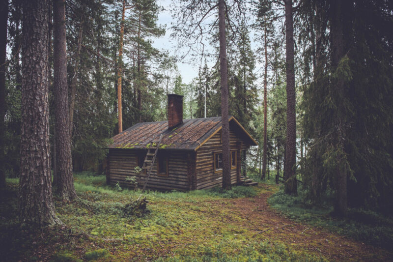 Henry David Thoreau's Walden. Cabin in the woods / Ξύλινη καλύβα στο δάσος, από το Walden του Χ. Ντ. Θόρω