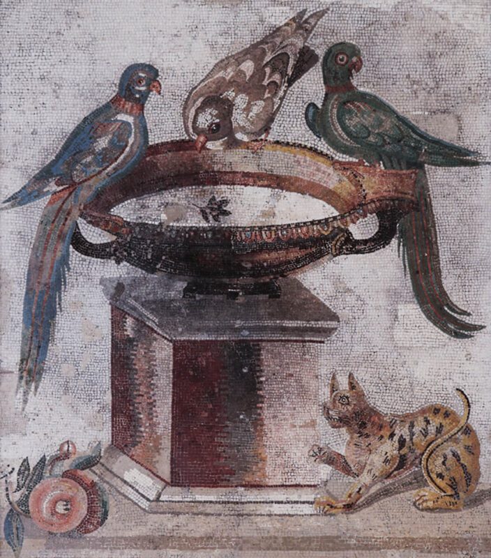 Η τέχνη της ρωμαϊκής εποχής, Πουλιά σε κρήνη και γάτα, μωσαϊκό στην Πομπηία / Art of the roman era, birds and cat, Pompeii mosaic