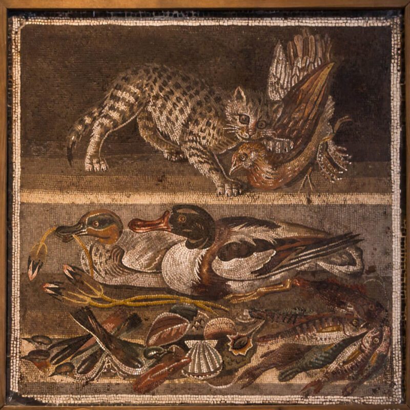 Μωσαϊκό με γάτα και πάπιες στην αρχαία Πομπηία / Pompeii mosaic art with cat and ducks