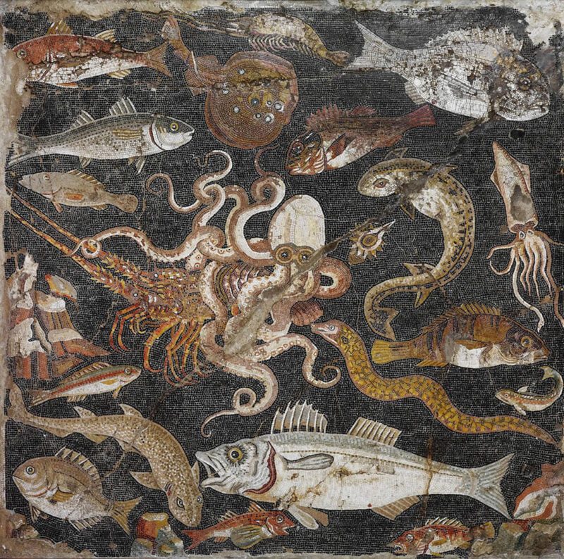 Ψάρια της Μεσογείου σε ψηφιδωτό της Πομπηίας / Fishes of the Mediterranean, Pompeii mosaic art