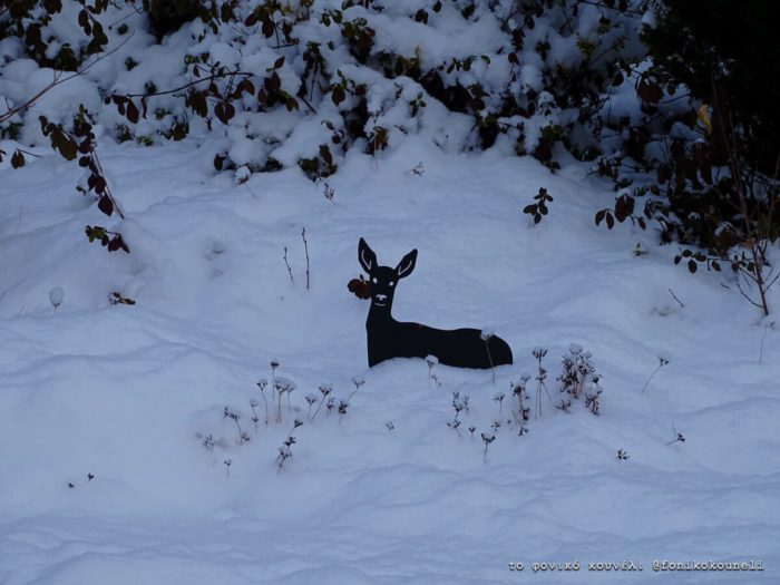 Ψεύτικο ελάφι στο χιόνι στο Münchberg της Βαυαρίας / Fake deer in the snow, Münchberg, Bavaria