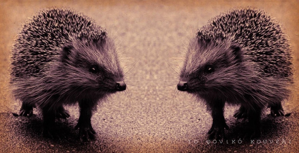 Arthur Schopenhauer's Hedgehog's dilemma